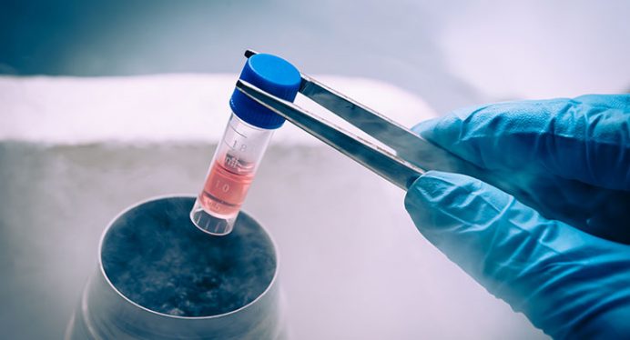幹細胞によるサイトカインと「再生医療」～臍帯幹細胞培養上清液