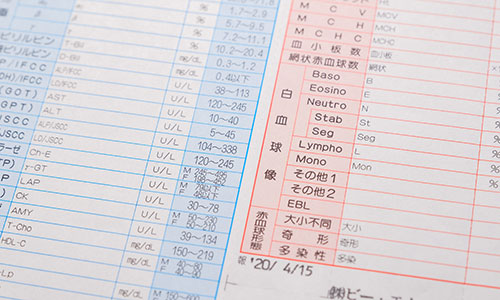 検査結果のご報告